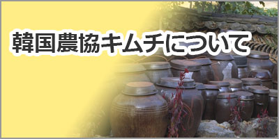 韓国農協キムチについて