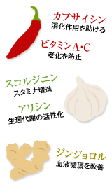 画像：生理代謝を活性化します